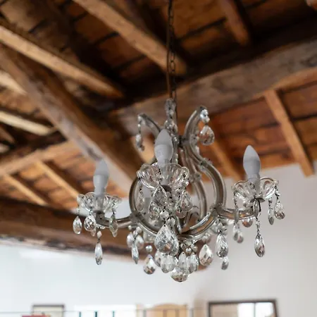 Loft Olmo Elegance Дом отдыха